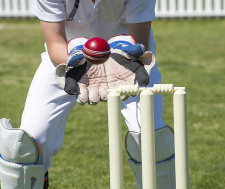 Cricket Camp