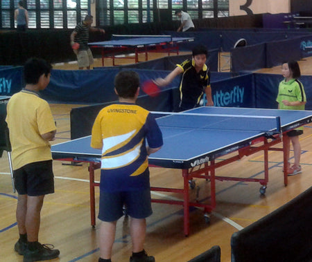 Table Tennis Program